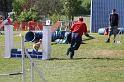 Bild 845